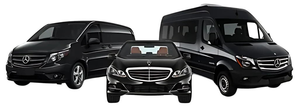 Our-Fleet-in-line